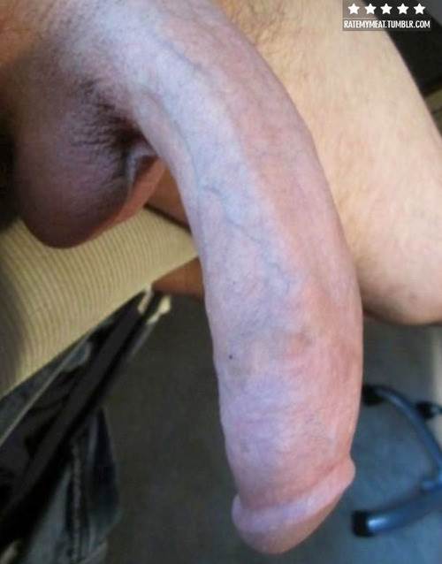 Image #2146